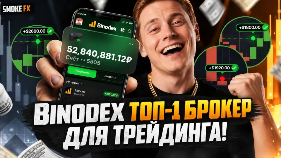 Трейдинг обучение с нуля даст базовые навыки для стабильного заработка на BINODEX